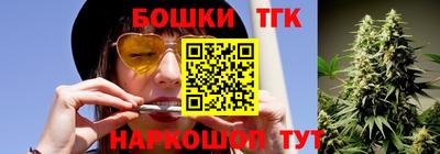 молекула духа Будённовск