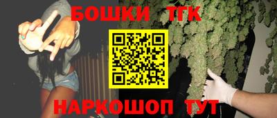 молекула духа Будённовск