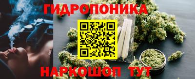 молекула духа Будённовск