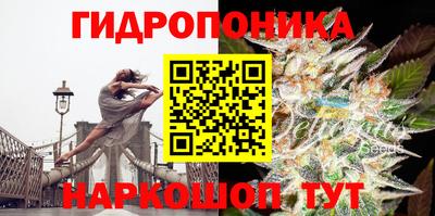 молекула духа Будённовск