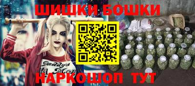 молекула духа Будённовск