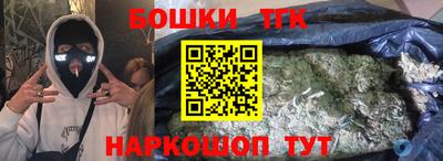 молекула духа Будённовск