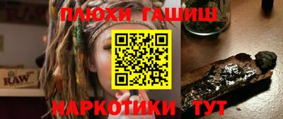 молекула духа Будённовск