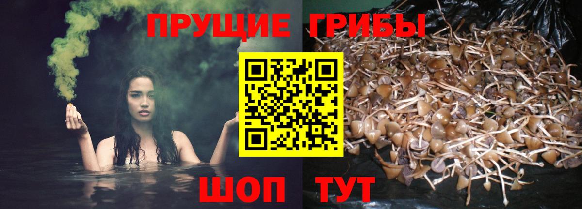 Новокуйбышевск  купить наркоту  Вход с VPN  Галлюциногенные грибы мухоморы 