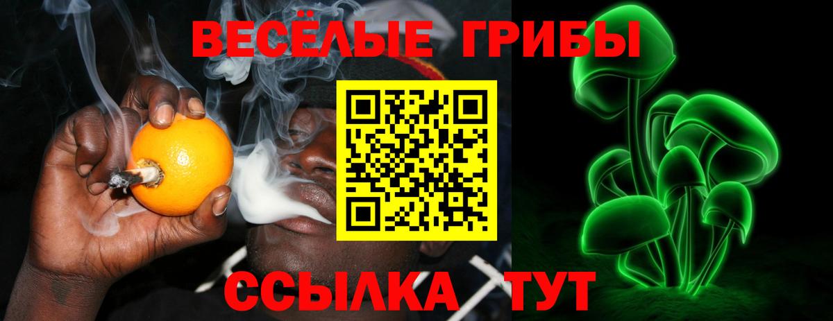 Псилоцибиновые грибы Cubensis Новокуйбышевск